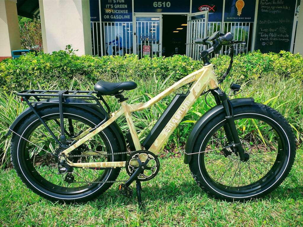 electric bike shop - Sales & Service of Quality Electric Bicycles electric bike shop - Sales & Service of Quality Electric Bicycles