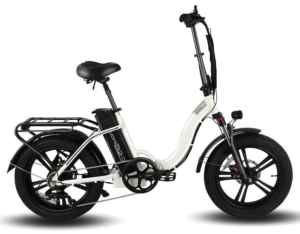 Eco motion 2025 electric bike